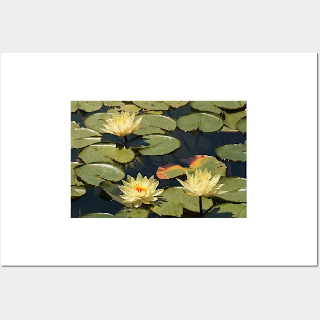 Lilies On The Pond © Wall Art by PrinceJohn